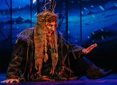 Великотный А.М. Финн Раймо – «Снежная королева» Андерсена